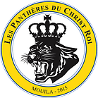 Panthers Logo